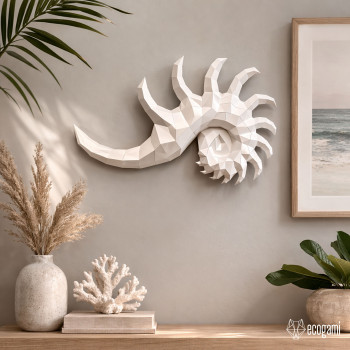 Conch seashell Conch seashell